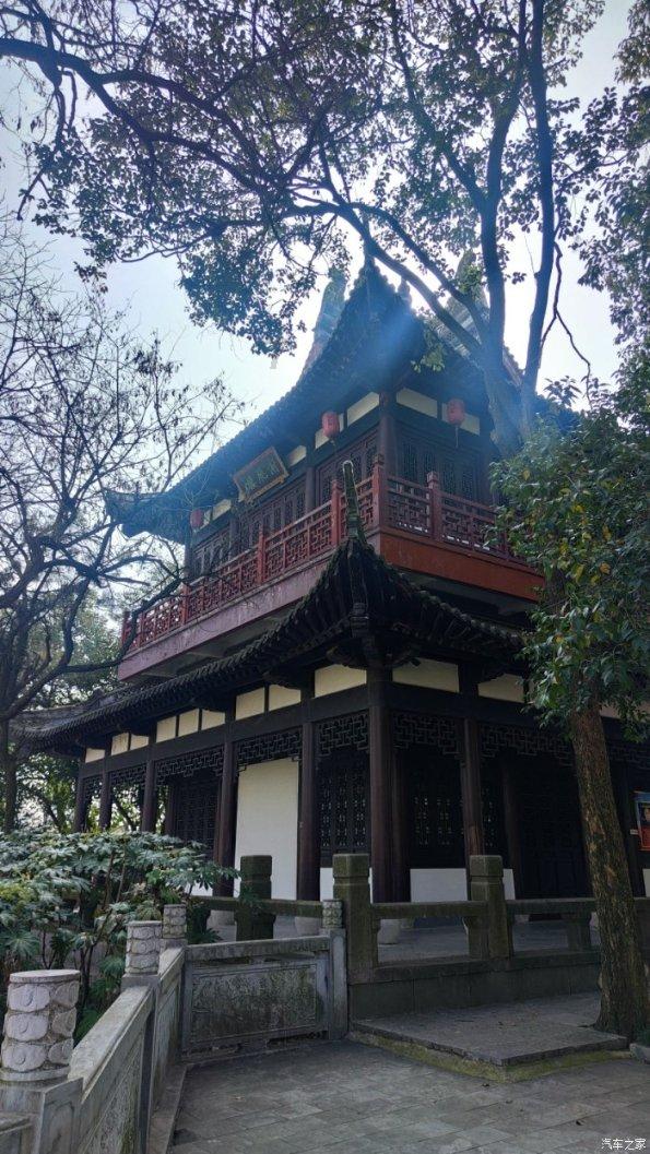 国家魔法森林逃亡